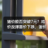 猪价能否突破7元?鸡价反弹苗价下跌,蛋价持续上涨,豆粕玉米行情如何?(图1) 猪价能否突破7元?鸡价反弹苗价下跌,蛋价持续上涨,豆粕玉米行情如何?(图1)