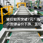 猪价能否突破7元?鸡价反弹苗价下跌,蛋价持续上涨,豆粕玉米行情如何?(图2) 猪价能否突破7元?鸡价反弹苗价下跌,蛋价持续上涨,豆粕玉米行情如何?(图2)