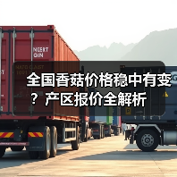 全国香菇价格稳中有变?产区报价全解析(图2) 全国香菇价格稳中有变?产区报价全解析(图2)