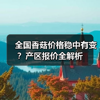 全国香菇价格稳中有变?产区报价全解析(图3) 全国香菇价格稳中有变?产区报价全解析(图3)