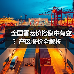 全国香菇价格稳中有变?产区报价全解析(图1) 全国香菇价格稳中有变?产区报价全解析(图1)