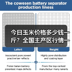 今日玉米价格多少钱一斤？全国主产区行情一览（图2）