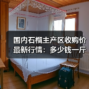 国内石榴主产区收购价最新行情：多少钱一斤？（图2）