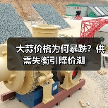 大蒜价格为何暴跌?供需失衡引降价潮(图1) 大蒜价格为何暴跌?供需失衡引降价潮(图1)