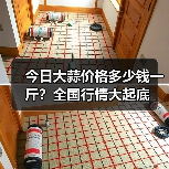 今日大蒜价格多少钱一斤?全国行情大起底(图4) 今日大蒜价格多少钱一斤?全国行情大起底(图4)