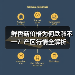 鲜香菇价格为何跌涨不一?产区行情全解析(图1) 鲜香菇价格为何跌涨不一?产区行情全解析(图1)