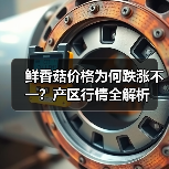 鲜香菇价格为何跌涨不一?产区行情全解析(图4) 鲜香菇价格为何跌涨不一?产区行情全解析(图4)