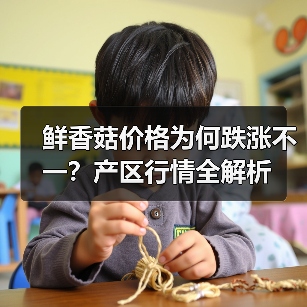 鲜香菇价格为何跌涨不一?产区行情全解析(图2) 鲜香菇价格为何跌涨不一?产区行情全解析(图2)