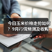 今日玉米价格走势如何?9月行情预测及收购动态(图2) 今日玉米价格走势如何?9月行情预测及收购动态(图2)
