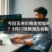 今日玉米价格走势如何?9月行情预测及收购动态(图3) 今日玉米价格走势如何?9月行情预测及收购动态(图3)