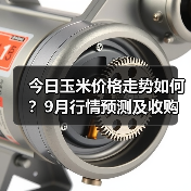 今日玉米价格走势如何?9月行情预测及收购动态(图1) 今日玉米价格走势如何?9月行情预测及收购动态(图1)