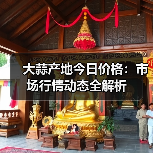 大蒜产地今日价格：市场行情动态全解析（图1）