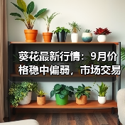 葵花最新行情：9月价格稳中偏弱，市场交易清淡（图2）