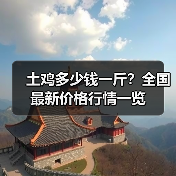 土鸡多少钱一斤?全国最新价格行情一览(图1) 土鸡多少钱一斤?全国最新价格行情一览(图1)