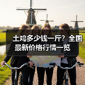 土鸡多少钱一斤?全国最新价格行情一览(图3) 土鸡多少钱一斤?全国最新价格行情一览(图3)