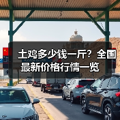 土鸡多少钱一斤?全国最新价格行情一览(图4) 土鸡多少钱一斤?全国最新价格行情一览(图4)