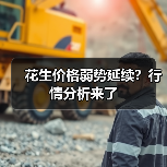 花生价格弱势延续？行情分析来了（图1）