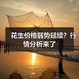 花生价格弱势延续？行情分析来了（图3）