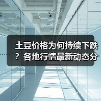 土豆价格为何持续下跌?各地行情最新动态分析(图1) 土豆价格为何持续下跌?各地行情最新动态分析(图1)