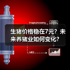 生猪价格稳在7元?未来养猪业如何变化?(图1) 生猪价格稳在7元?未来养猪业如何变化?(图1)