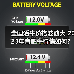 全国活牛价格波动大 2023年育肥牛行情如何?(图3) 全国活牛价格波动大 2023年育肥牛行情如何?(图3)