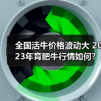 全国活牛价格波动大 2023年育肥牛行情如何?(图1) 全国活牛价格波动大 2023年育肥牛行情如何?(图1)