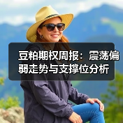 豆粕期权周报：震荡偏弱走势与支撑位分析（图2）