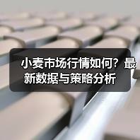 小麦市场行情如何?最新数据与策略分析(图3) 小麦市场行情如何?最新数据与策略分析(图3)