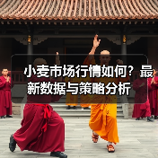 小麦市场行情如何?最新数据与策略分析(图4) 小麦市场行情如何?最新数据与策略分析(图4)