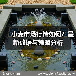 小麦市场行情如何?最新数据与策略分析(图2) 小麦市场行情如何?最新数据与策略分析(图2)
