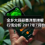 金乡大蒜蒜薹洋葱辣椒行情分析 2017年7月价格波动(图3) 金乡大蒜蒜薹洋葱辣椒行情分析 2017年7月价格波动(图3)