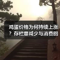 鸡蛋价格为何持续上涨?存栏量减少与消费回升的双重影响(图2) 鸡蛋价格为何持续上涨?存栏量减少与消费回升的双重影响(图2)