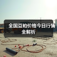 全国豆粕价格今日行情全解析(图2) 全国豆粕价格今日行情全解析(图2)