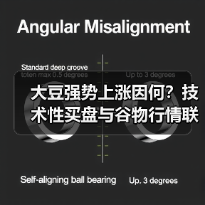 大豆强势上涨因何?技术性买盘与谷物行情联动(图4) 大豆强势上涨因何?技术性买盘与谷物行情联动(图4)