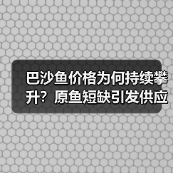 巴沙鱼价格为何持续攀升?原鱼短缺引发供应危机(图2) 巴沙鱼价格为何持续攀升?原鱼短缺引发供应危机(图2)