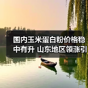 国内玉米蛋白粉价格稳中有升 山东地区领涨引关注(图2) 国内玉米蛋白粉价格稳中有升 山东地区领涨引关注(图2)