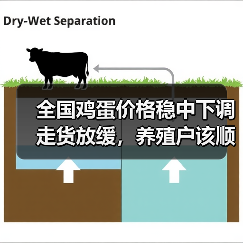 全国鸡蛋价格稳中下调 走货放缓,养殖户该顺势出货?(图3) 全国鸡蛋价格稳中下调 走货放缓,养殖户该顺势出货?(图3)