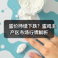 蛋价持续下跌?蛋鸡主产区市场行情解析(图4) 蛋价持续下跌?蛋鸡主产区市场行情解析(图4)