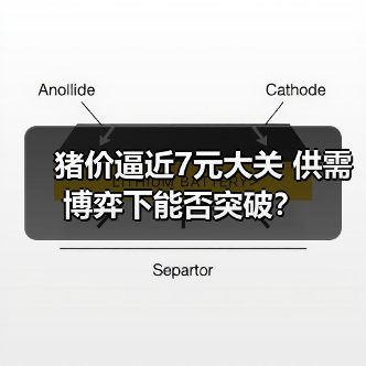 猪价逼近7元大关 供需博弈下能否突破?(图2) 猪价逼近7元大关 供需博弈下能否突破?(图2)