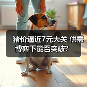 猪价逼近7元大关 供需博弈下能否突破?(图1) 猪价逼近7元大关 供需博弈下能否突破?(图1)