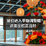 猪价进入平稳调整期?适重出栏正当时(图4) 猪价进入平稳调整期?适重出栏正当时(图4)