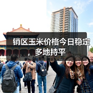 销区玉米价格今日稳定,多地持平(图1) 销区玉米价格今日稳定,多地持平(图1)