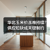 华北玉米价涨难持续?供应短缺成关键制约(图4) 华北玉米价涨难持续?供应短缺成关键制约(图4)