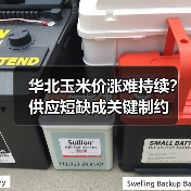华北玉米价涨难持续?供应短缺成关键制约(图1) 华北玉米价涨难持续?供应短缺成关键制约(图1)