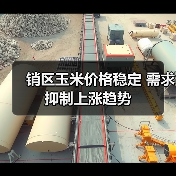 销区玉米价格稳定 需求抑制上涨趋势(图2) 销区玉米价格稳定 需求抑制上涨趋势(图2)