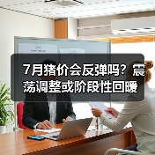 7月猪价会反弹吗?震荡调整或阶段性回暖(图4) 7月猪价会反弹吗?震荡调整或阶段性回暖(图4)