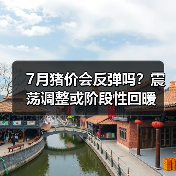 7月猪价会反弹吗?震荡调整或阶段性回暖(图3) 7月猪价会反弹吗?震荡调整或阶段性回暖(图3)