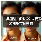 美国进口DDGS 未受玉米期货市场影响(图3) 美国进口DDGS 未受玉米期货市场影响(图3)