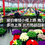 猪价继续小幅上扬 南方多地上涨 北方局部回调(图4) 猪价继续小幅上扬 南方多地上涨 北方局部回调(图4)