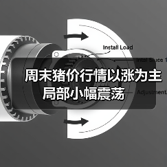 周末猪价行情以涨为主 局部小幅震荡(图2) 周末猪价行情以涨为主 局部小幅震荡(图2)